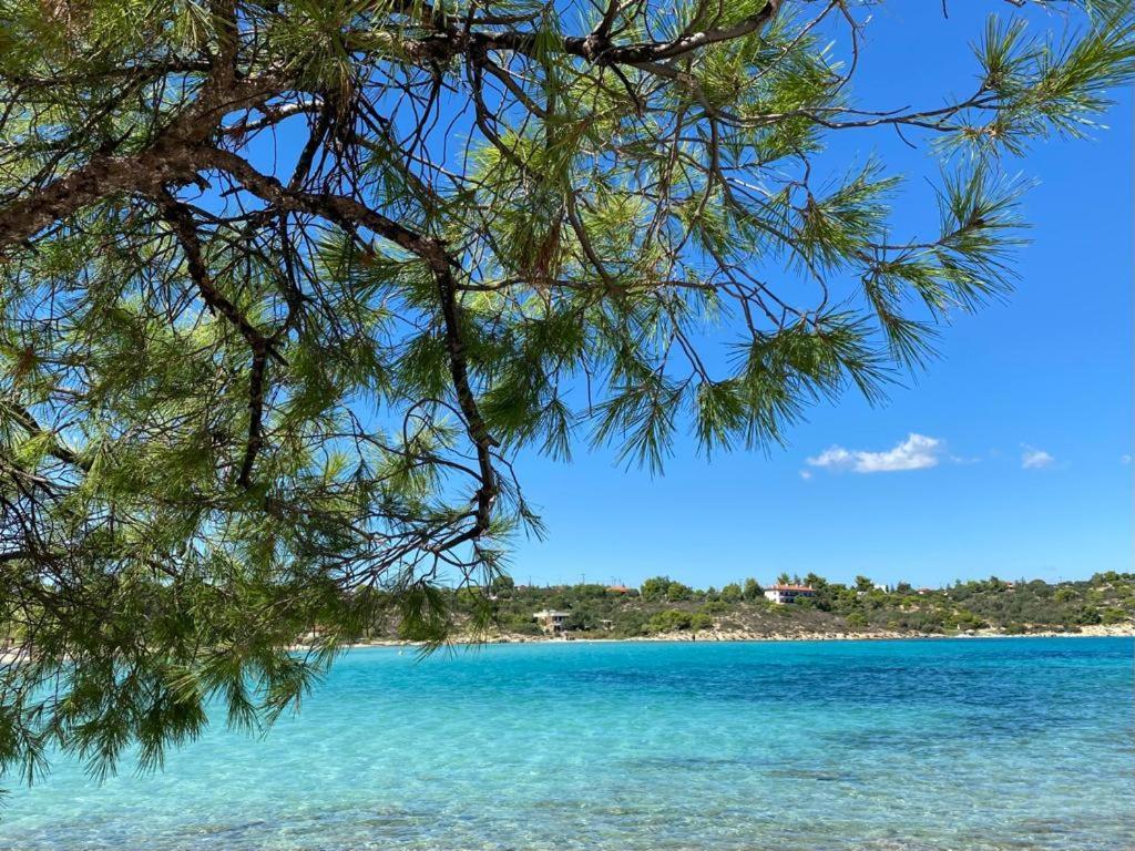 Lili Houses In Nikiti 350M From The Beach Екстериор снимка